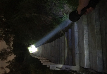 B158 Focus and Flood Light